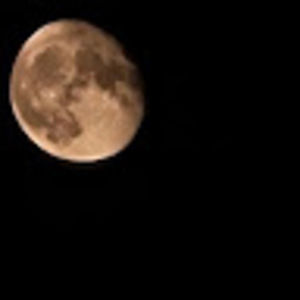 Meet your Posher, Gabriel fernando